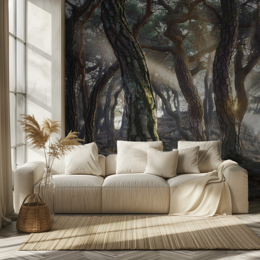 Hellige fyrretræer | Fototapeter