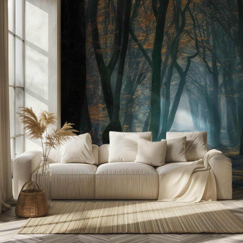 Luz fría | Papel Pintado Fotográfico