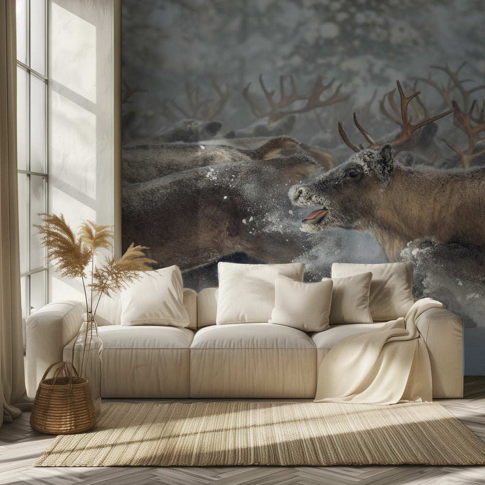 Rensdyr III | Fototapeter