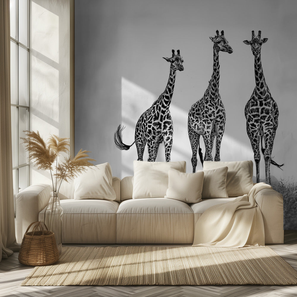 Giraffes in the Mara plains | Wallpaper