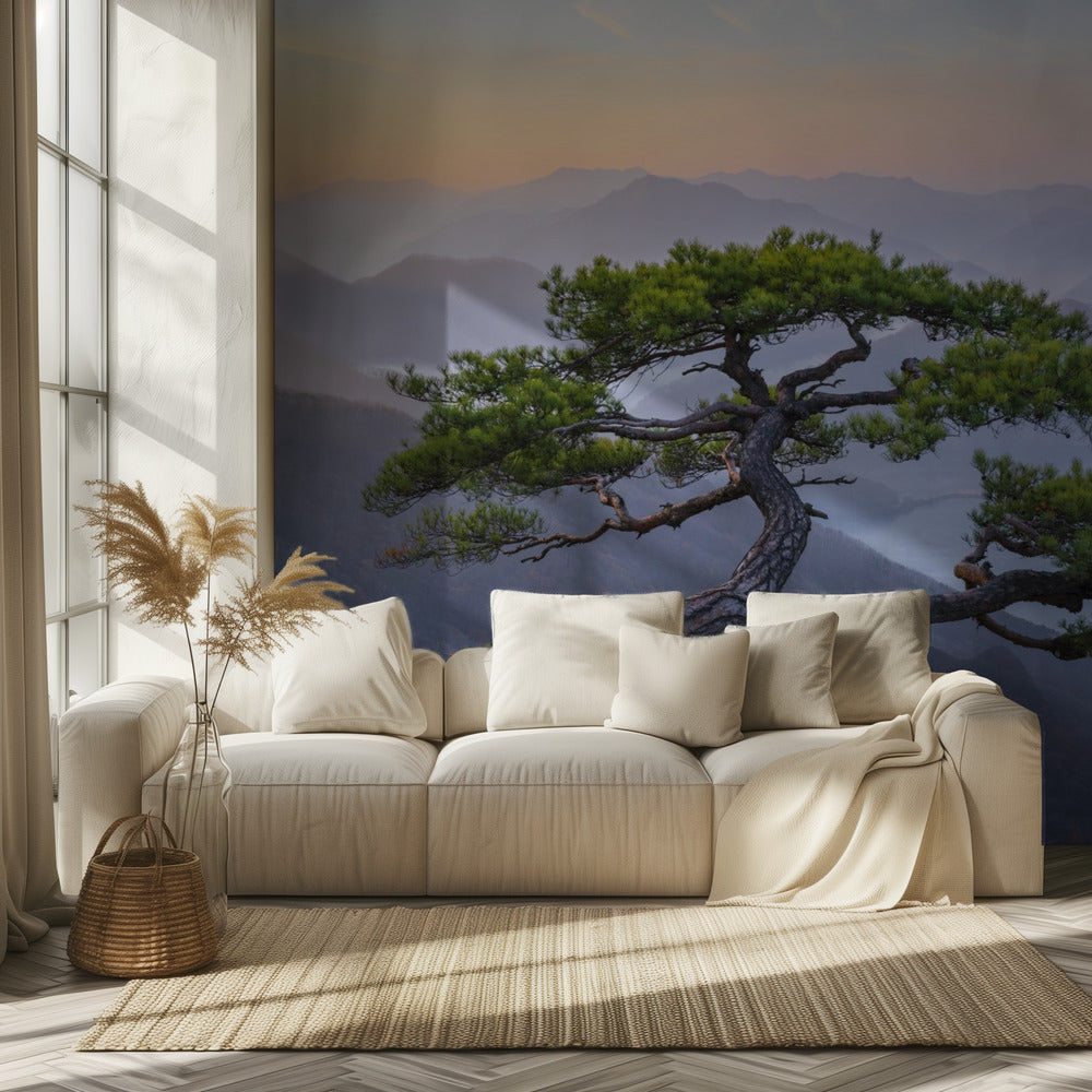 Kun päivä sarastaa | Valokuvatapetit