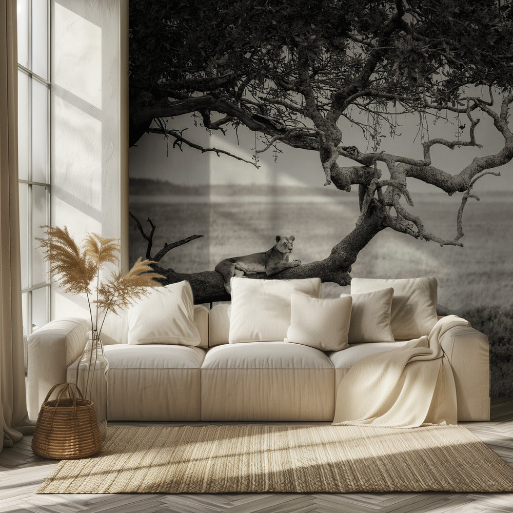 Kuningatar | Valokuvatapetit