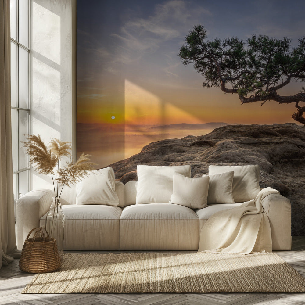 Vanha mänty | Valokuvatapetit