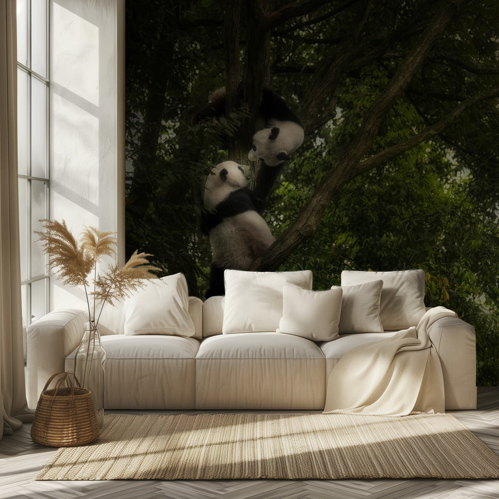 Panda | Papel Pintado Fotográfico