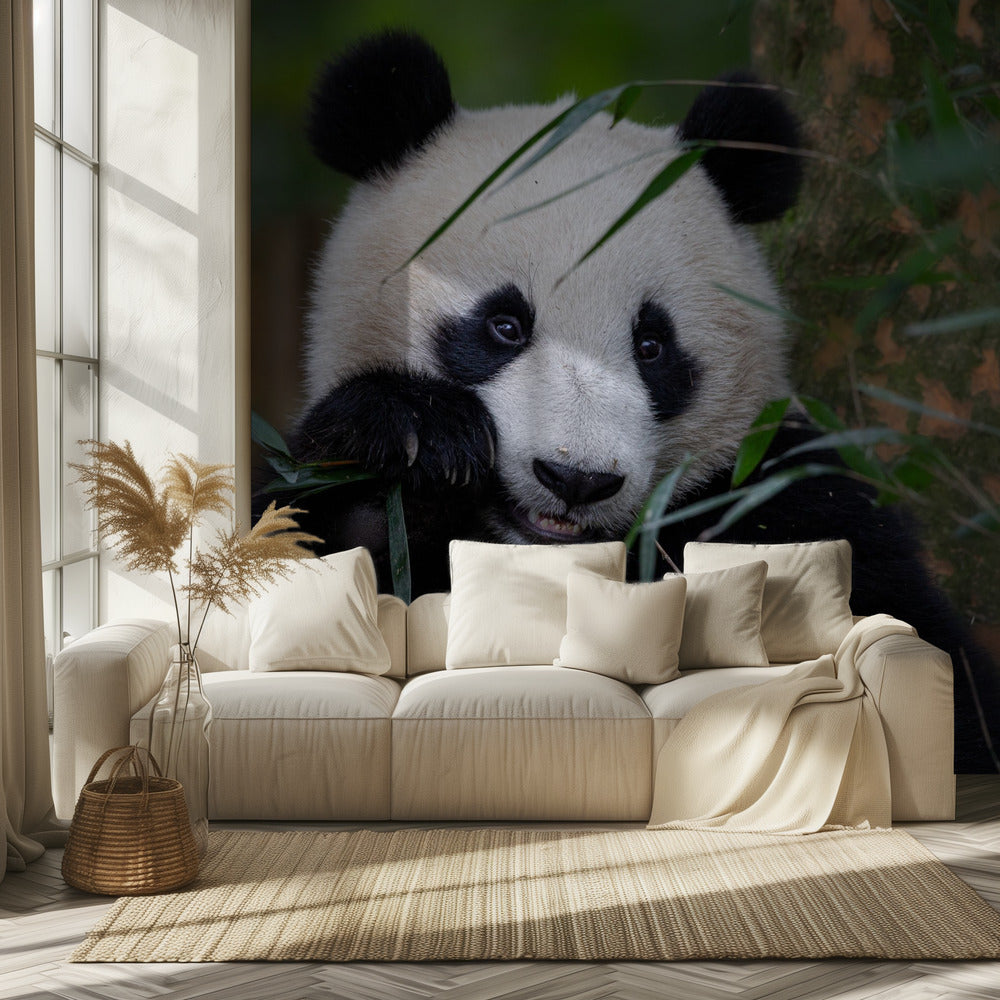 Tiempo de bambú | Papel Pintado Fotográfico