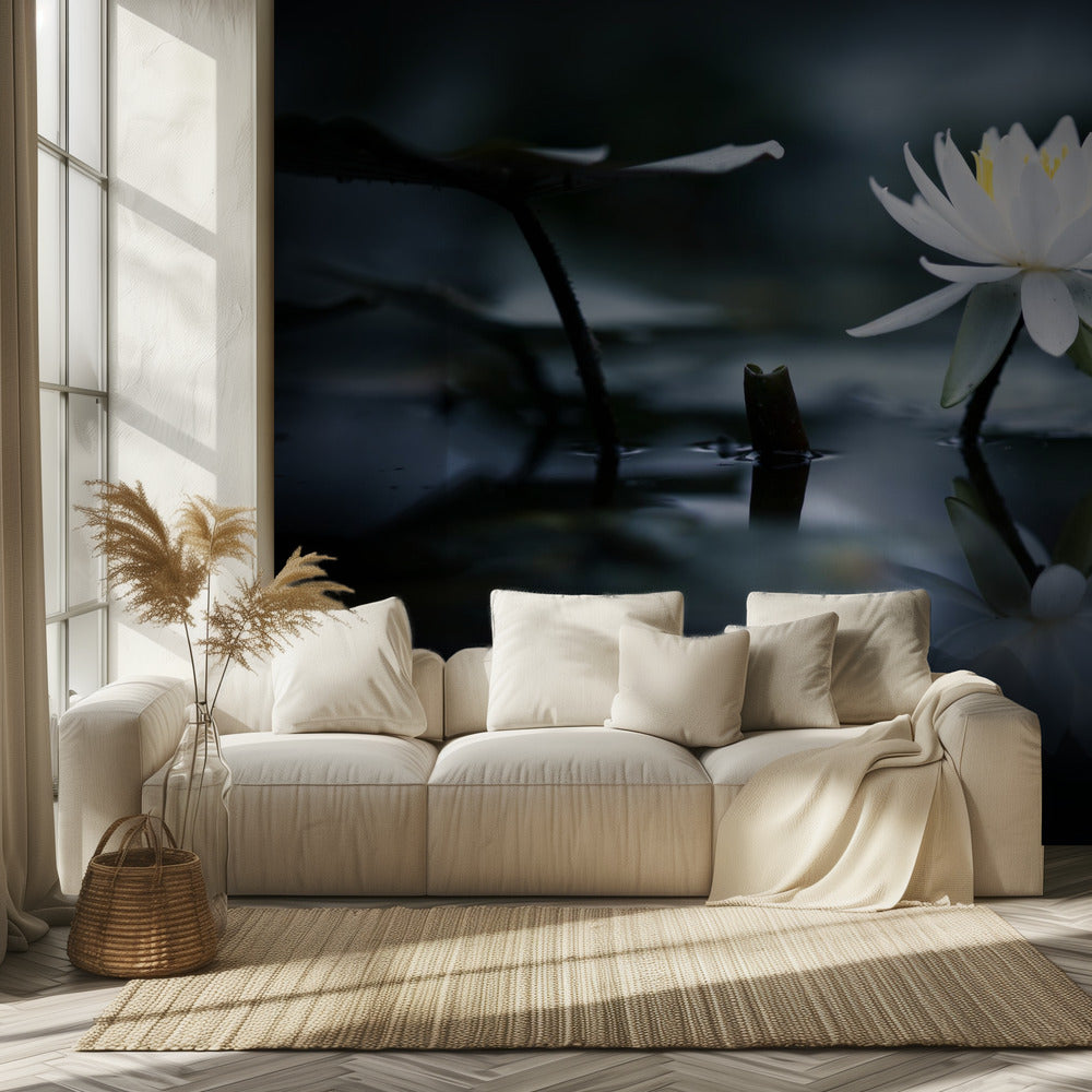 Heijastus | Valokuvatapetit