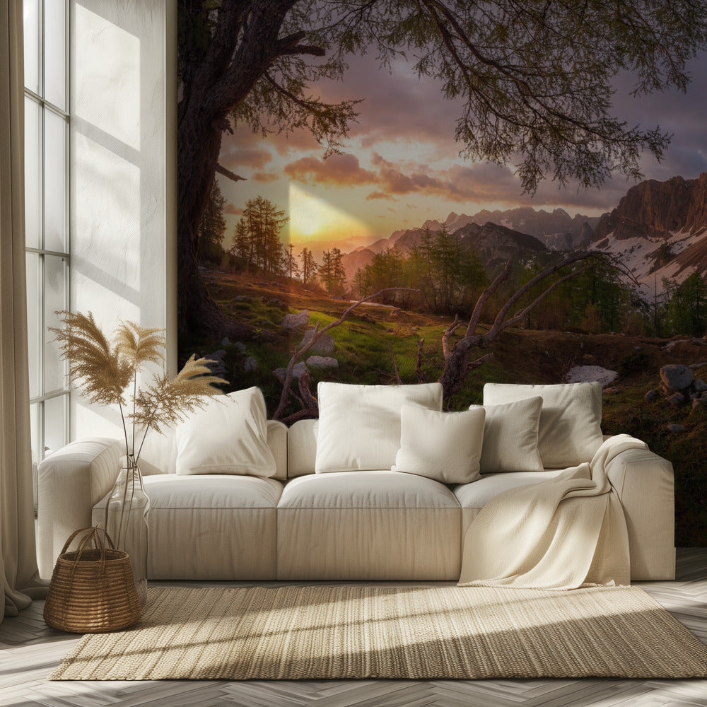 Maaginen aamu | Valokuvatapetit