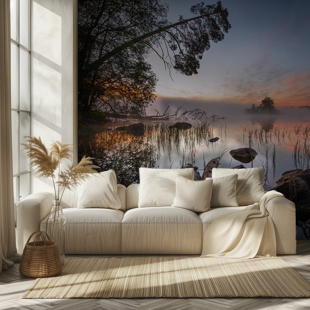 rauhallinen aamu | Valokuvatapetit