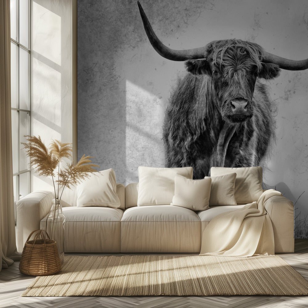 Voima | Valokuvatapetit