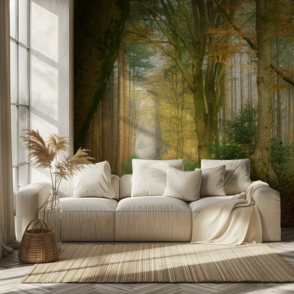 Seuraava sumu | Valokuvatapetit