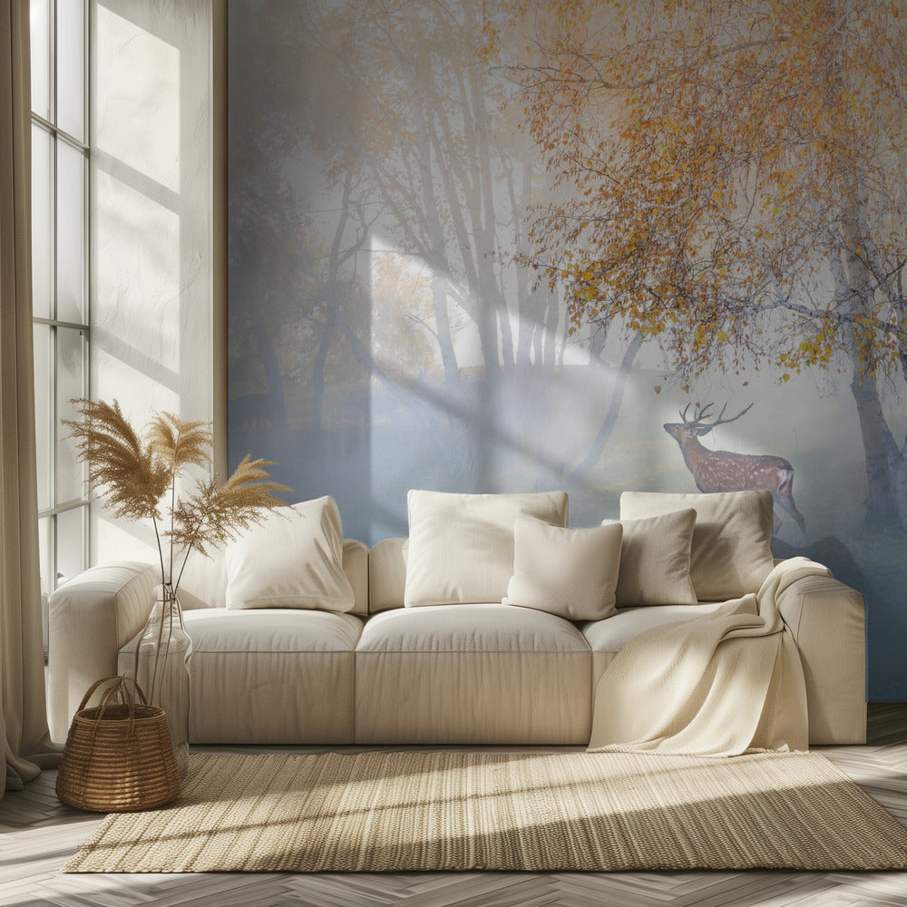 Hirvi eksyksissä sumussa | Valokuvatapetit