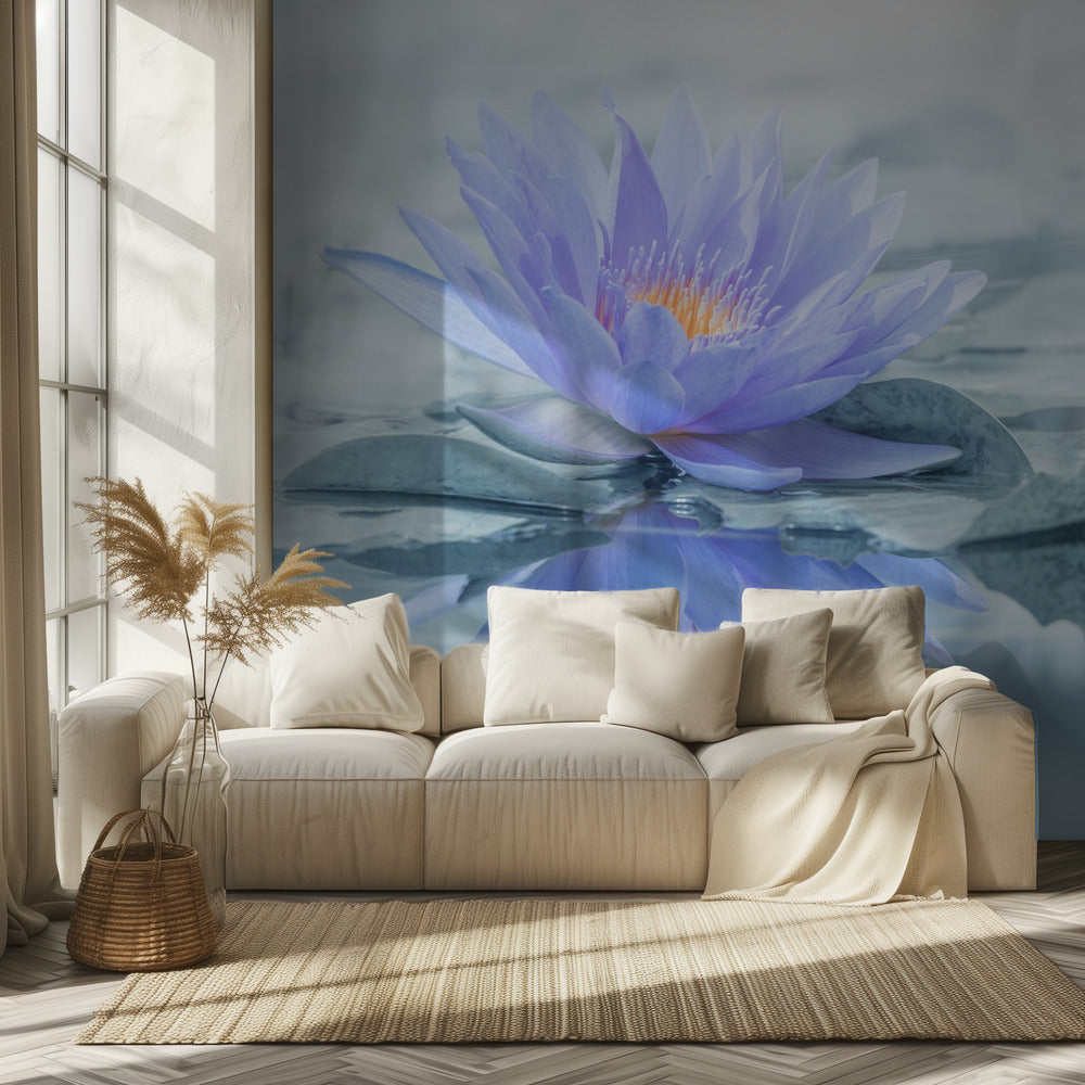 Heijastus | Valokuvatapetit