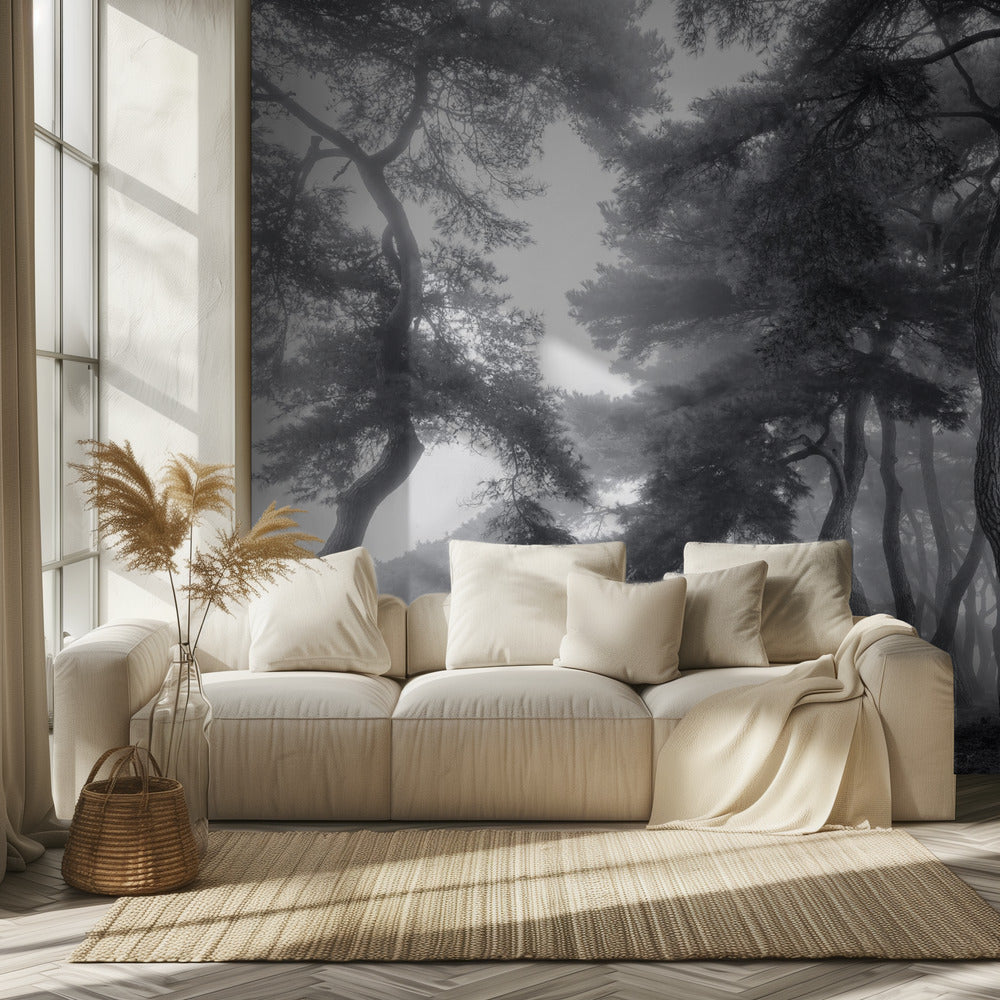 Kestää sata vuotta | Valokuvatapetit