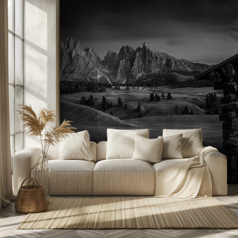 Nimetön | Valokuvatapetit