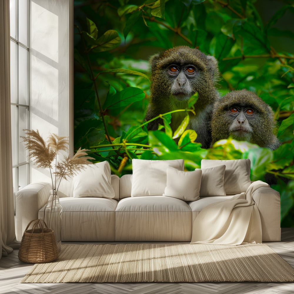 Sininen apina | Valokuvatapetit