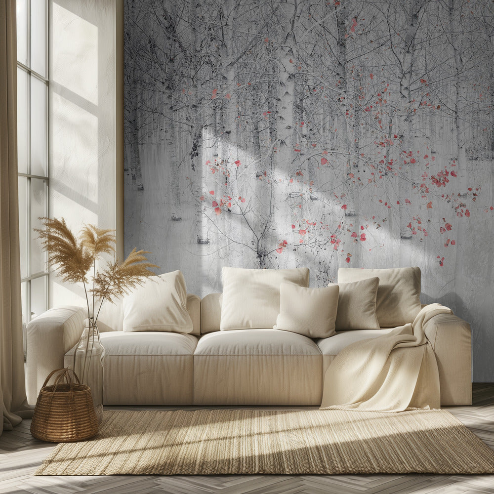 Punainen ja valkoinen | Valokuvatapetit