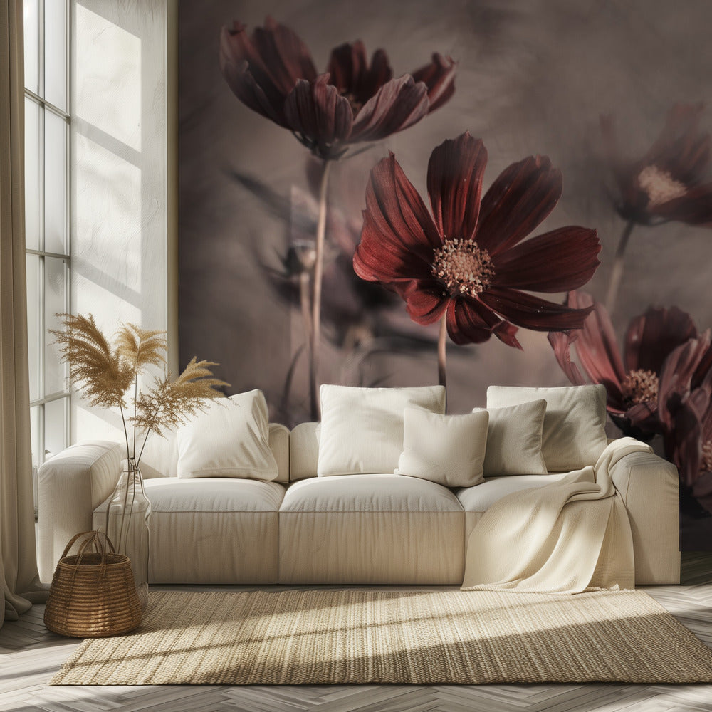 Kosmos 2019 | Valokuvatapetit