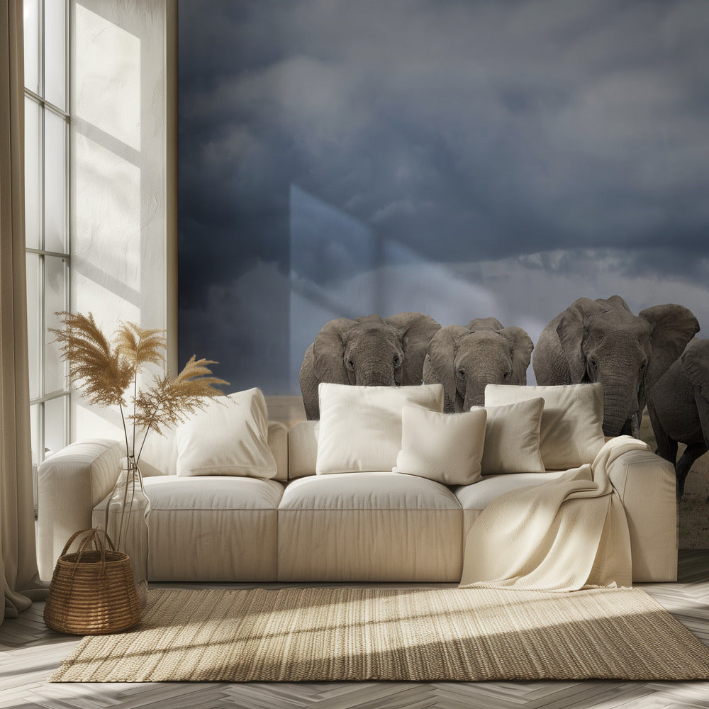 Norsujen kävelyretki | Valokuvatapetit