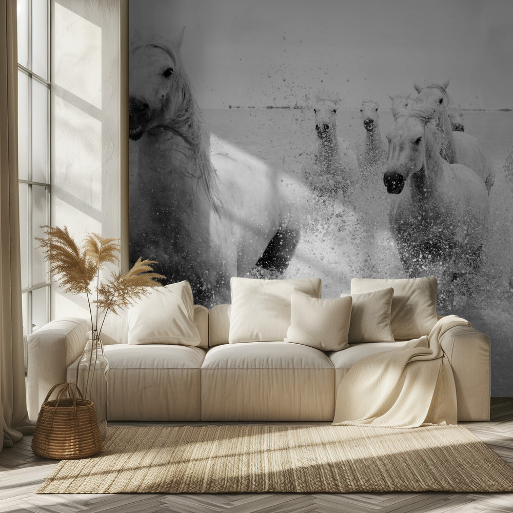 Nadchodzimy | Fototapeta