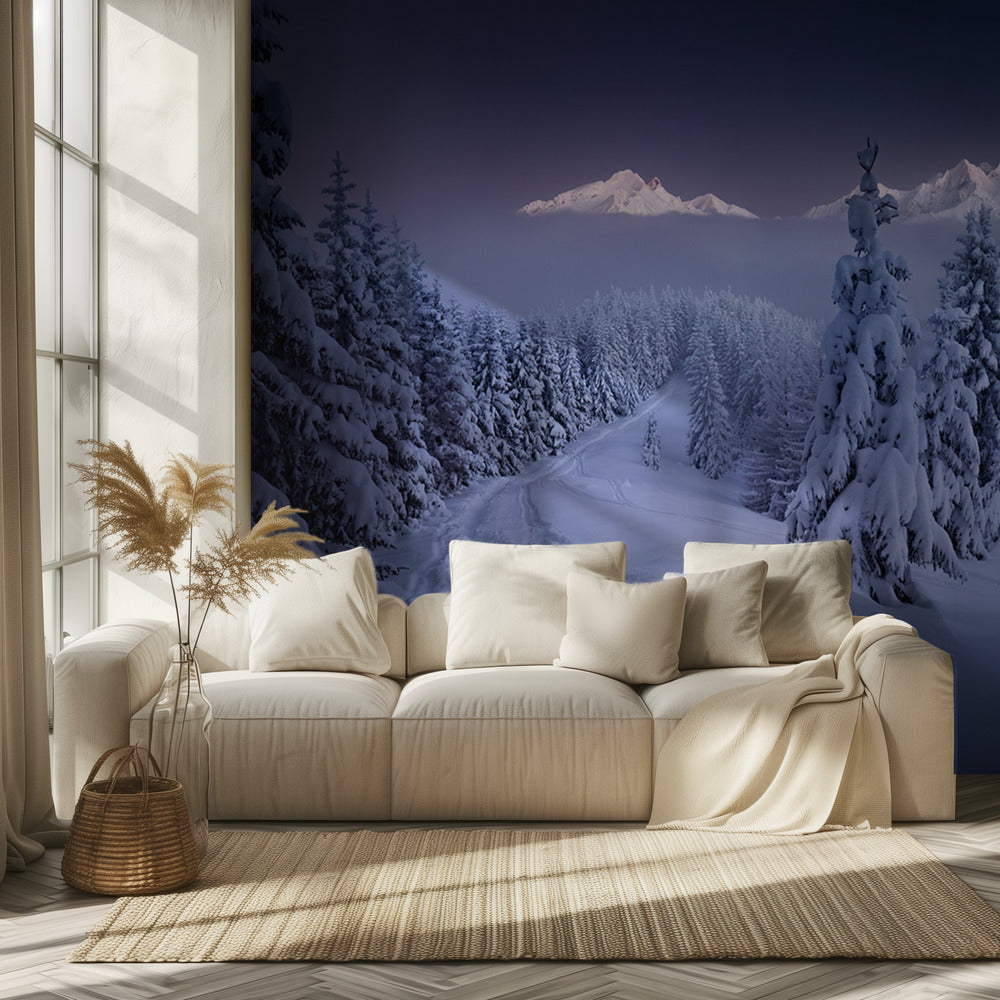 Talvella | Valokuvatapetit