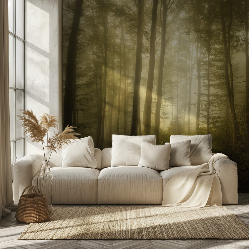 Katoavaisuuden viehätys | Valokuvatapetit