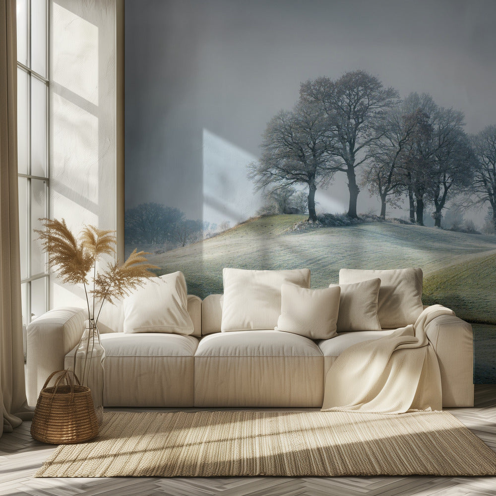 Se ei ole Toscanassa | Valokuvatapetit