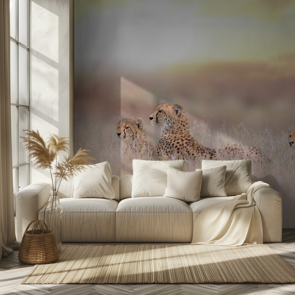 Gepardiperhe | Valokuvatapetit