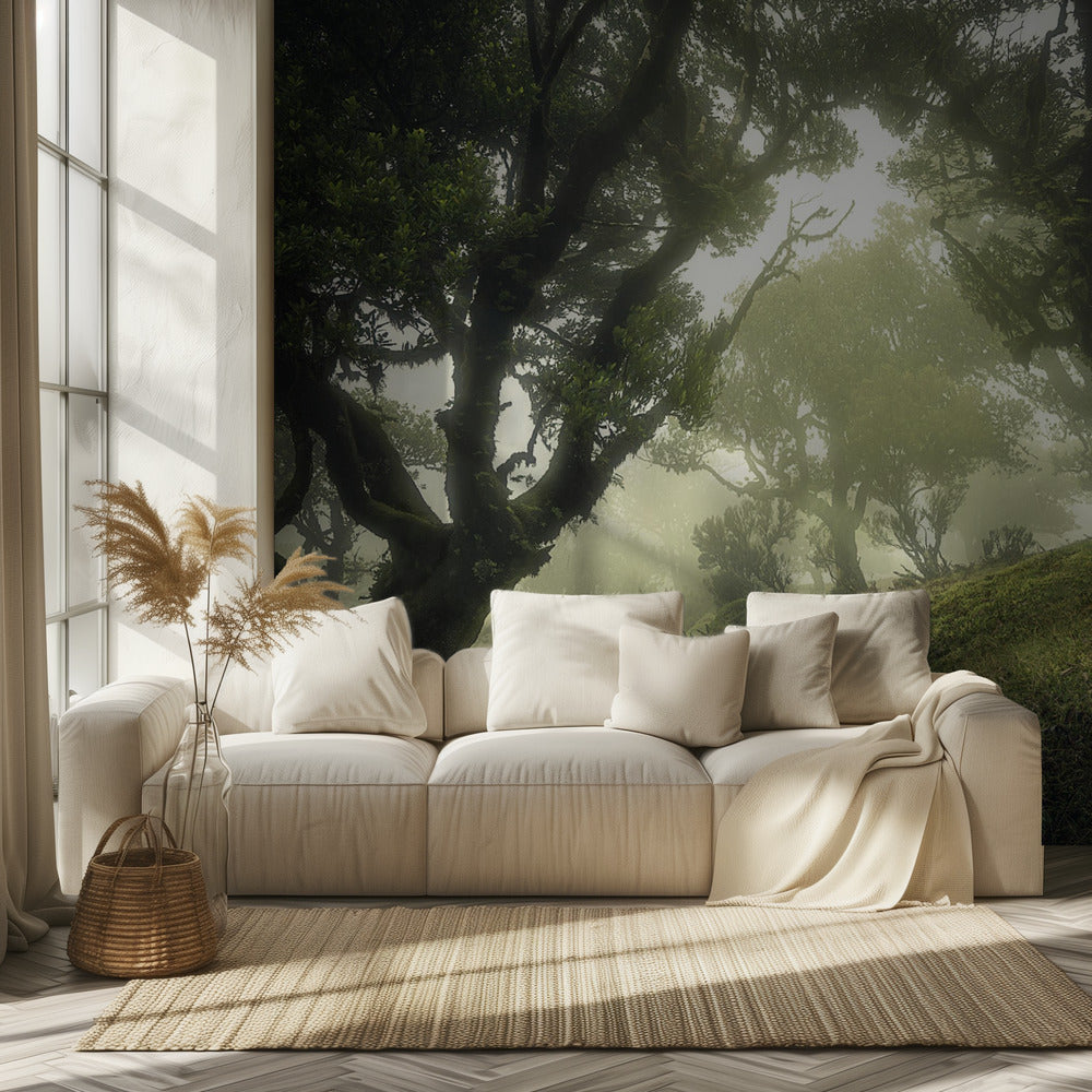 Lumottu metsä | Valokuvatapetit