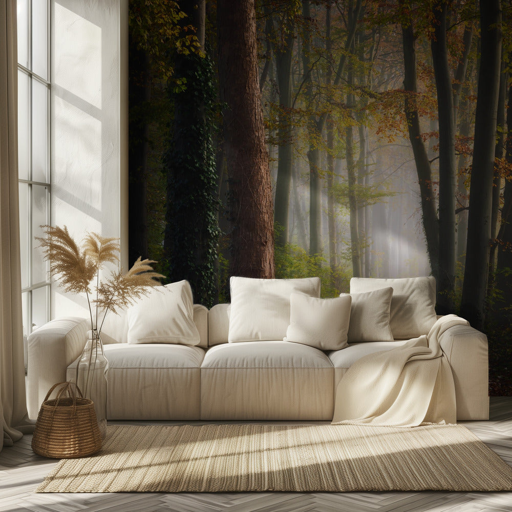 Syksyn värikäs metsä | Valokuvatapetit