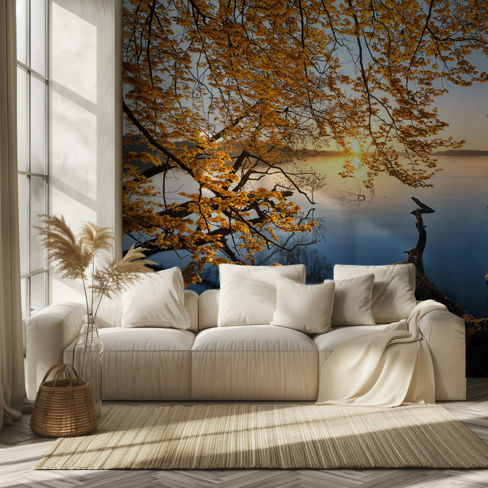 Syksyinen aamu | Valokuvatapetit