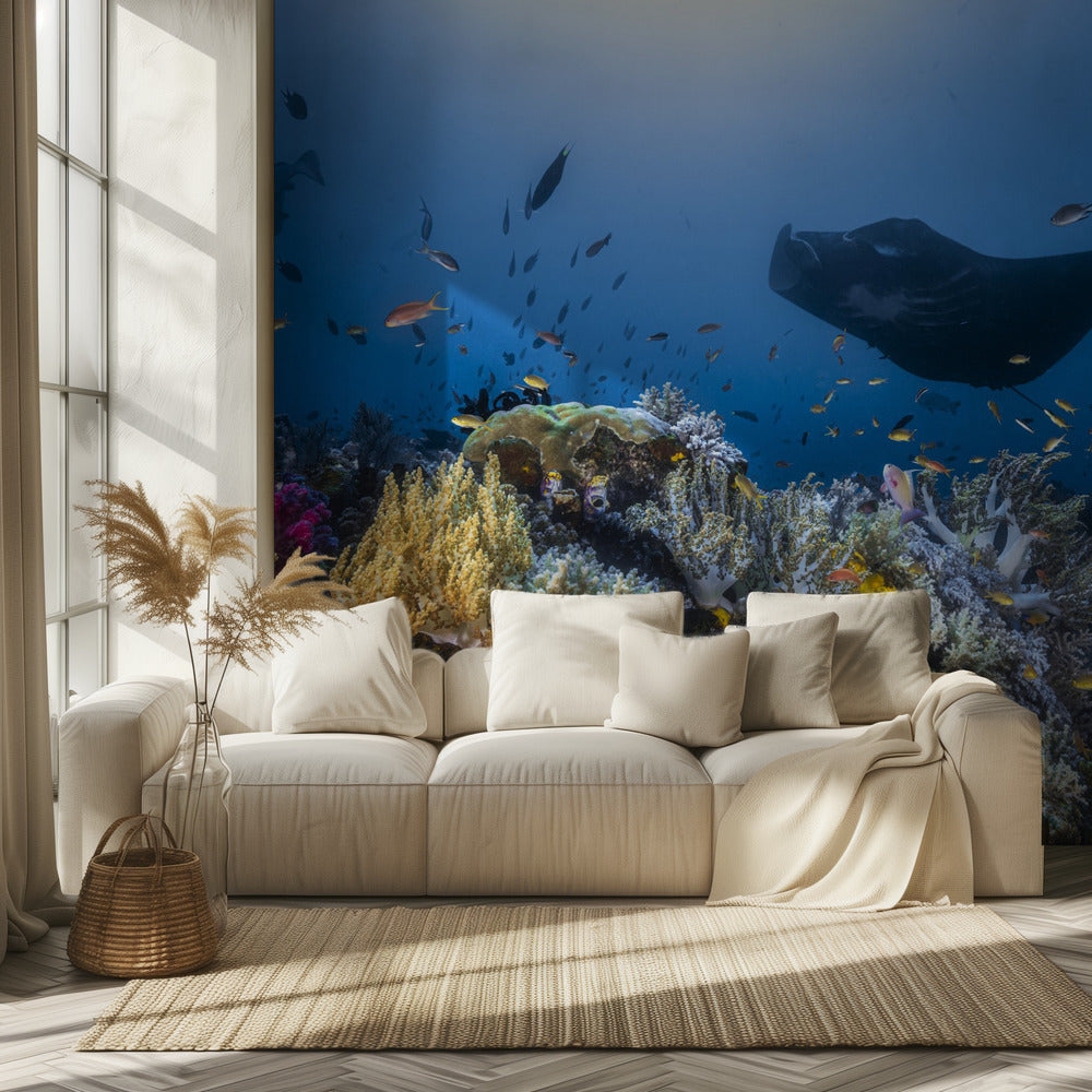 Manta-riutta riutalla | Valokuvatapetit