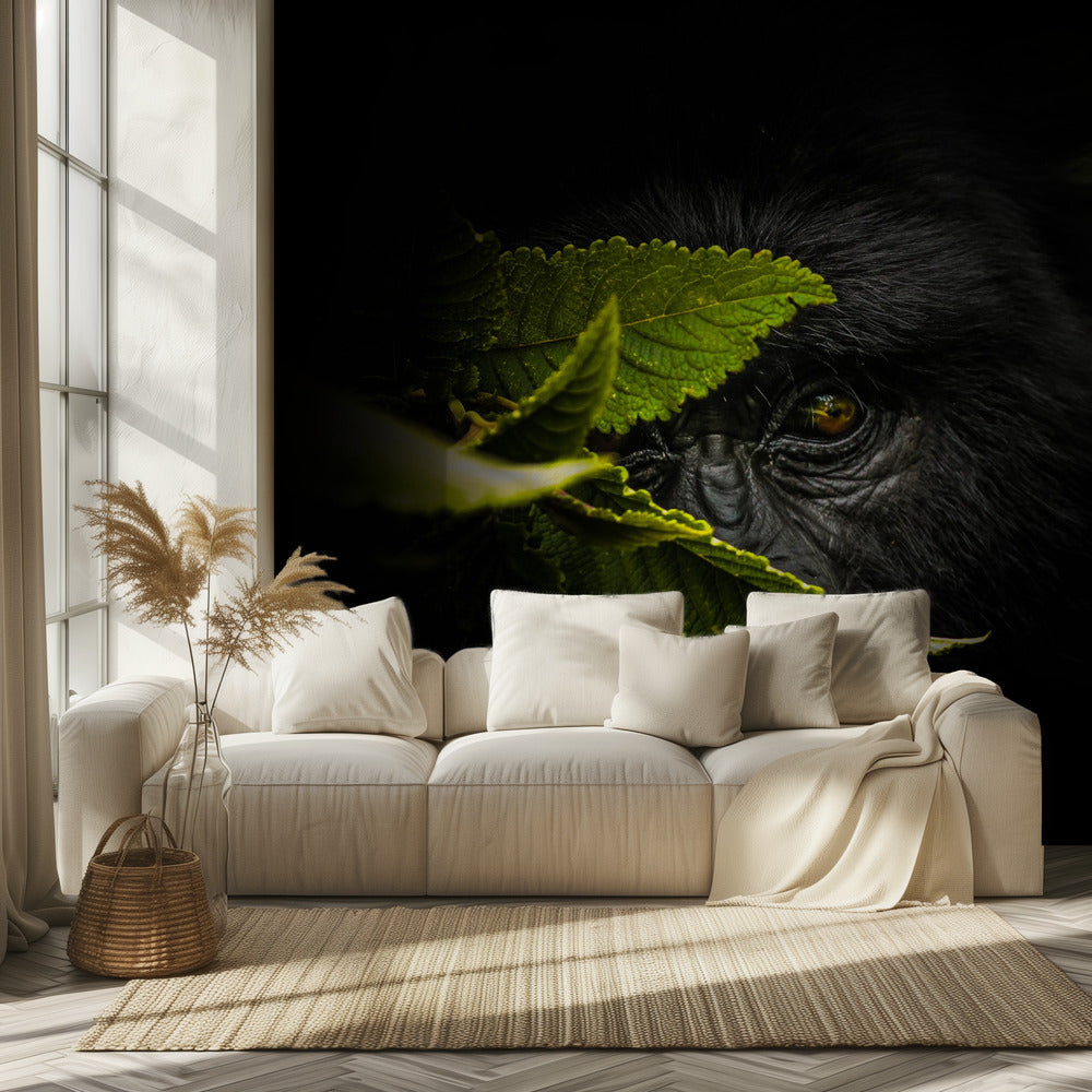 Salaisuuksien pitäminen | Valokuvatapetit