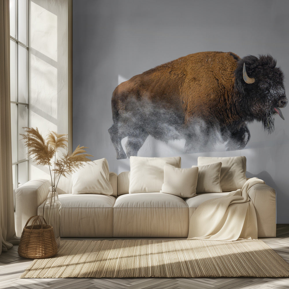 Bisonte en la nieve | Papel Pintado Fotográfico