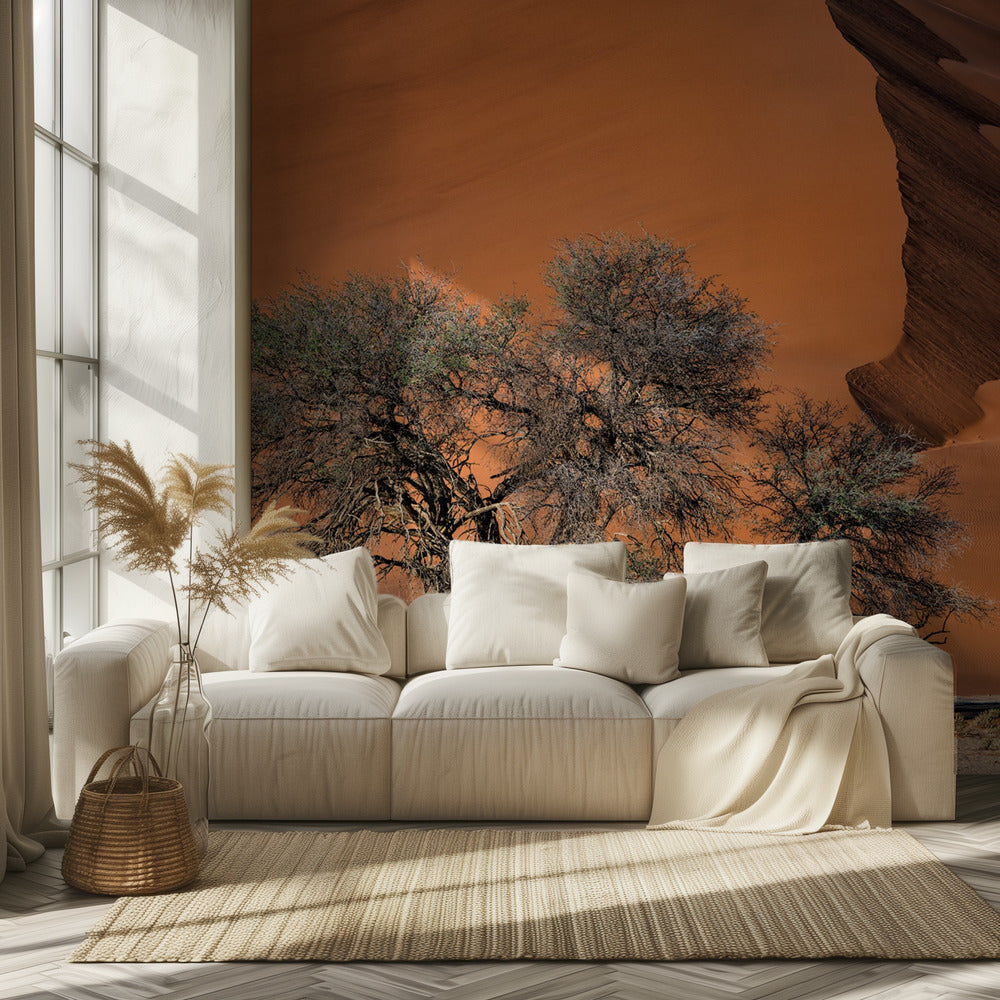 Akaasia aavikolla | Valokuvatapetit