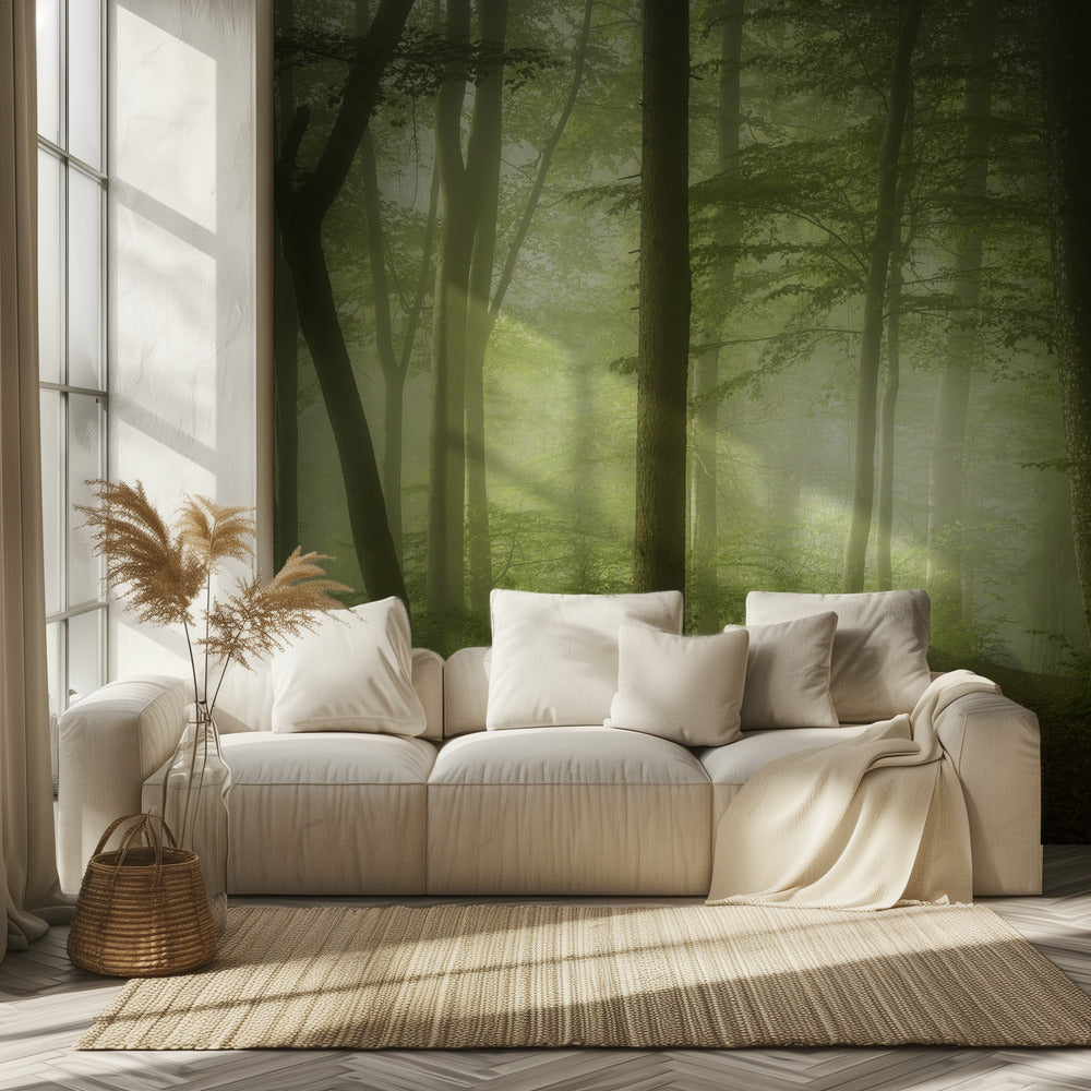 Salaperäinen kevätaamu | Valokuvatapetit