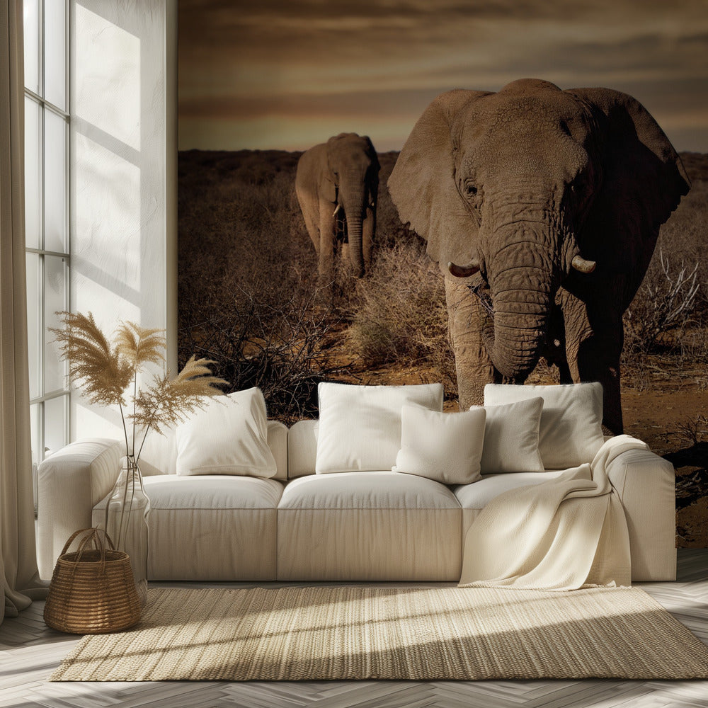 Iso | Valokuvatapetit