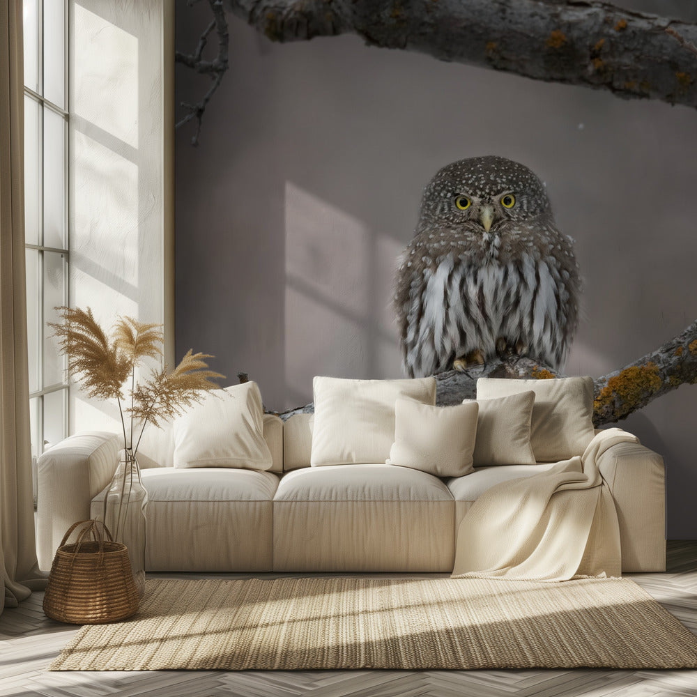 Pikkumies lumessa | Valokuvatapetit