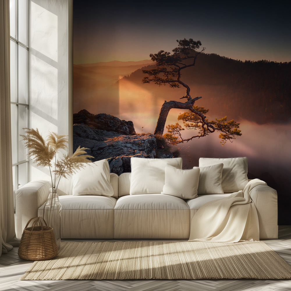 Sokolica | Valokuvatapetit