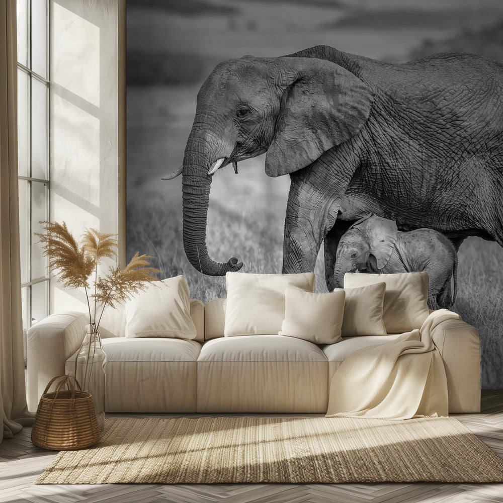 Lähellä ja suojassa pysyminen | Valokuvatapetit