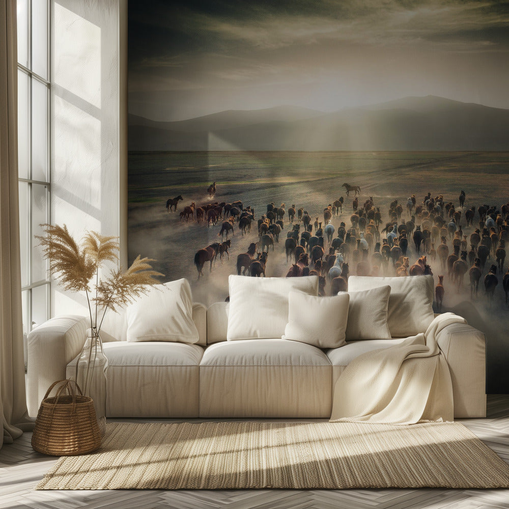 Villihevoset | Valokuvatapetit