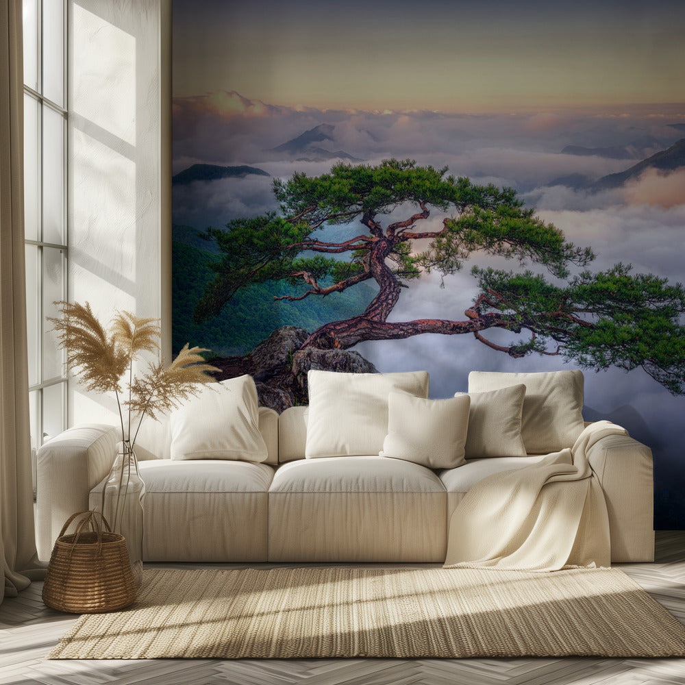 Kalliolla | Valokuvatapetit