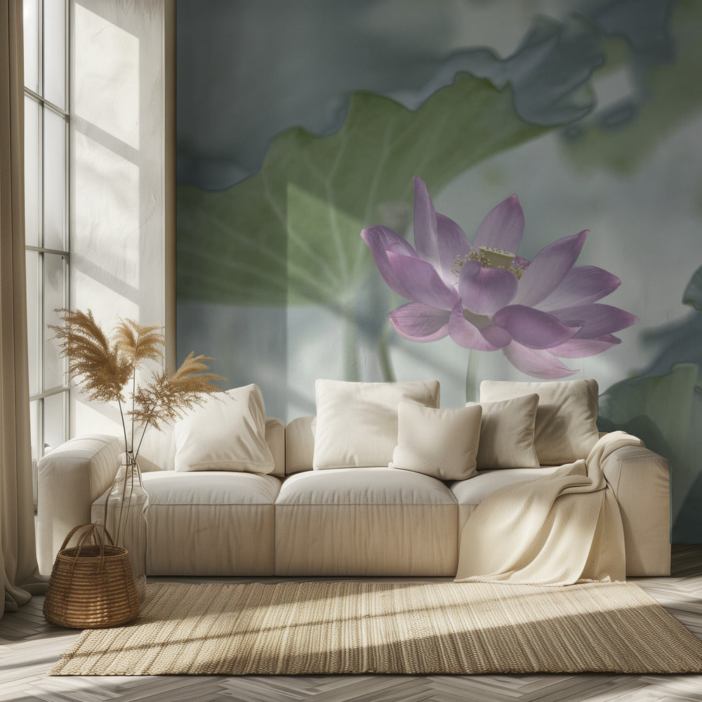 Lotus | Fototapeten