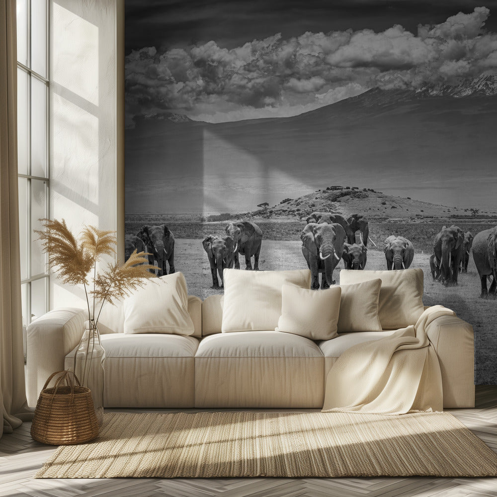 Titaanit | Valokuvatapetit