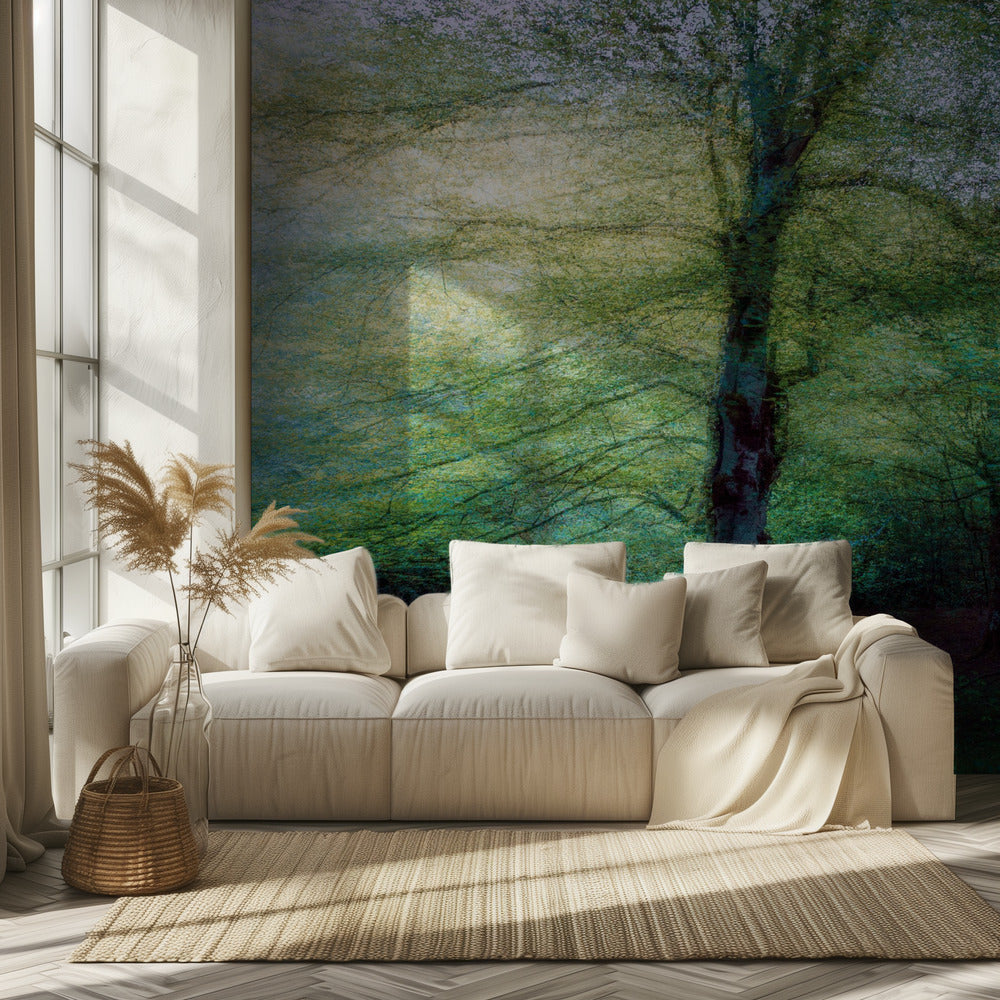 metsä | Valokuvatapetit