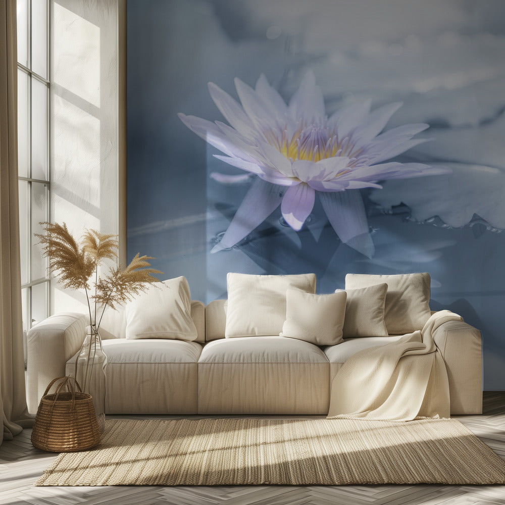 Heijastus | Valokuvatapetit