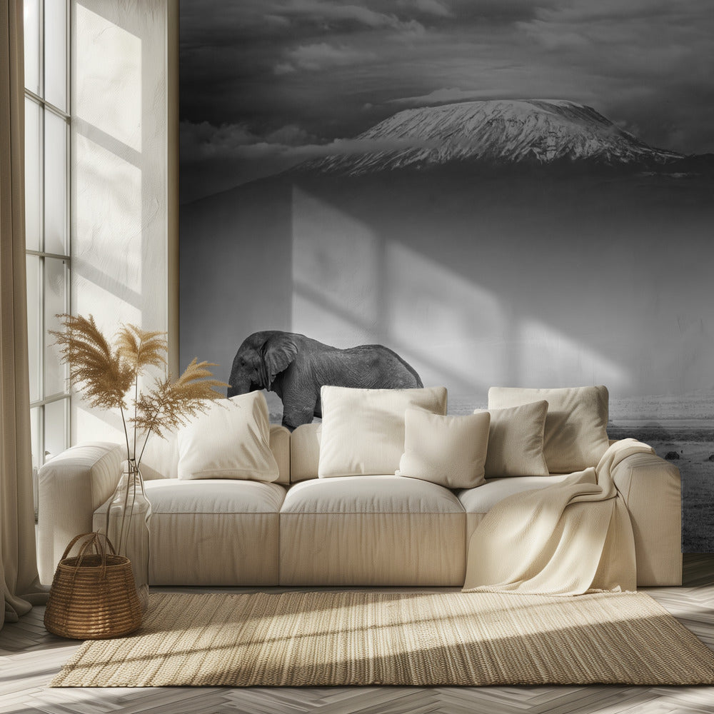 Jättiläisten maa | Valokuvatapetit