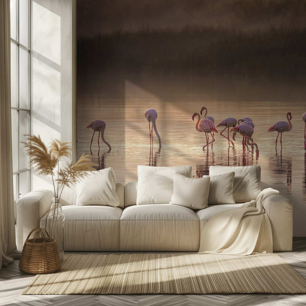 Valokuvallinen oodi Monet'lle | Valokuvatapetit