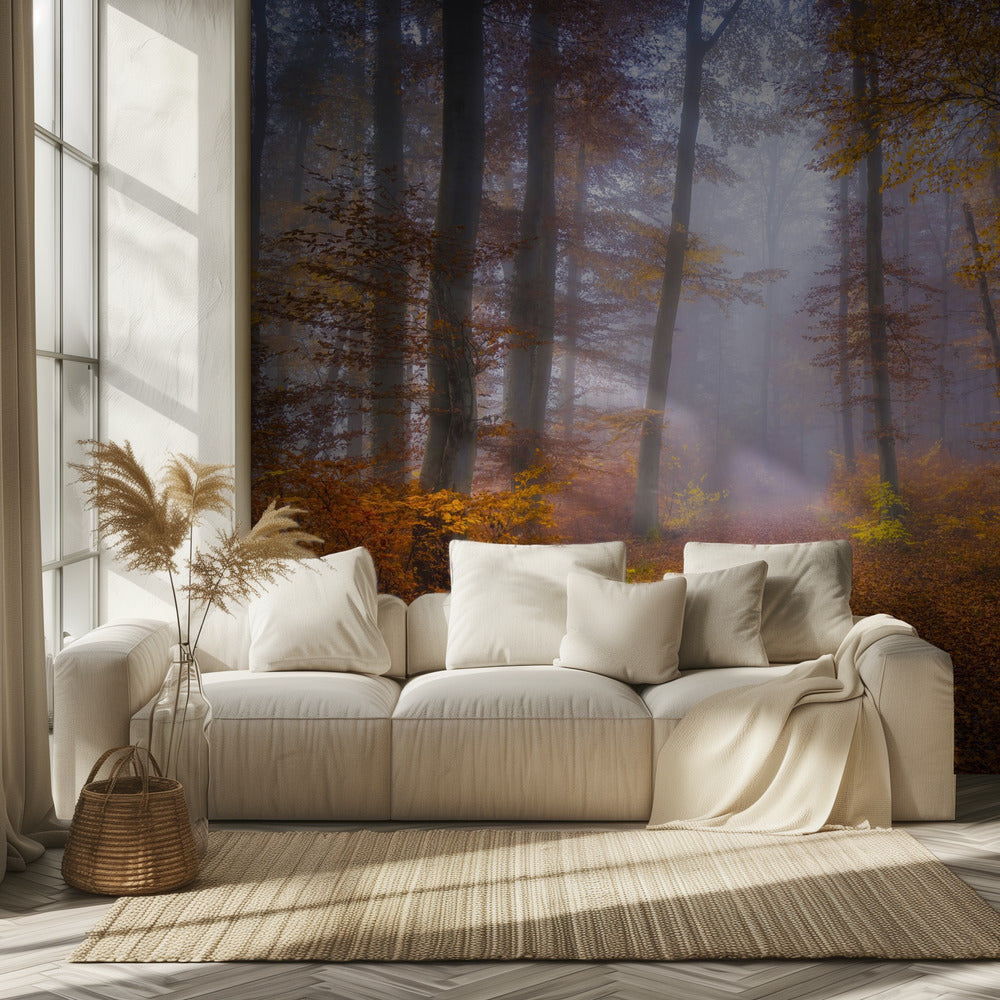 Lokakuun polku | Valokuvatapetit