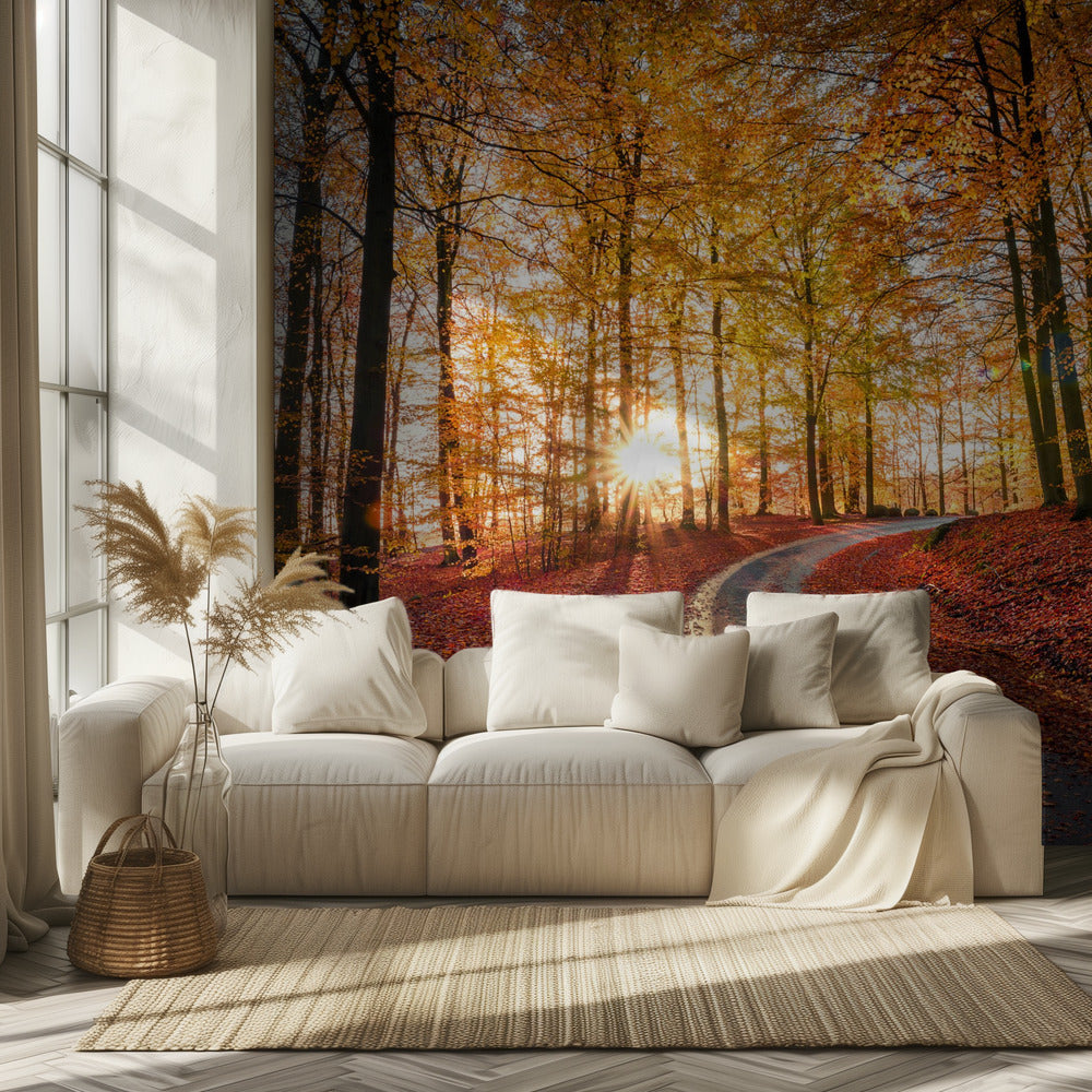 Tie Söderåsenin kansallispuistossa, Ruotsissa | Valokuvatapetit