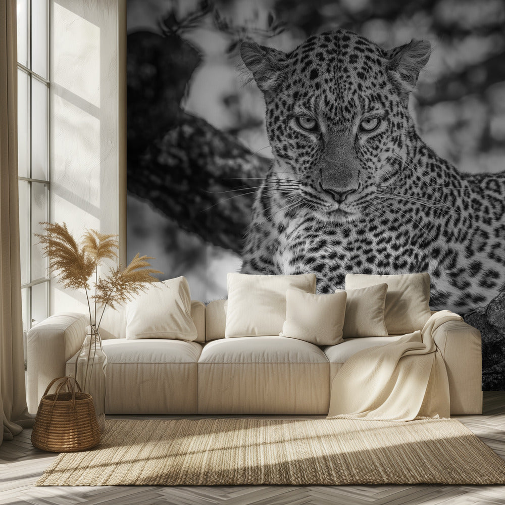 Yksivärinen kauneus | Valokuvatapetit